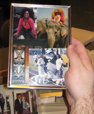 pics in frame