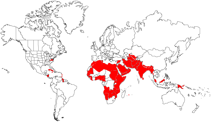 World Map Iran. Sodomy Laws Around the World